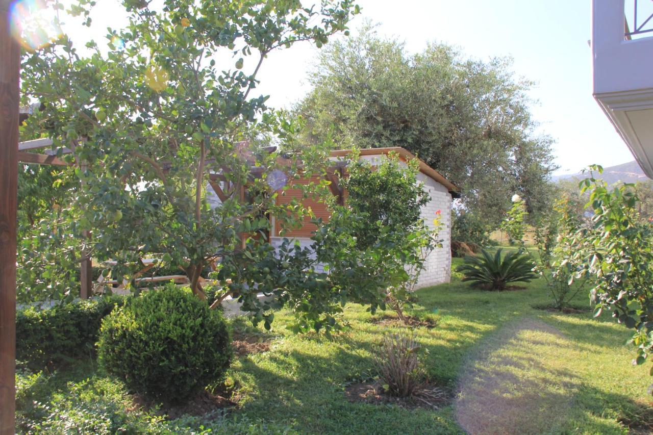 Vila Hadhri בורש מראה חיצוני תמונה